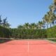Causes of Tennis Court Damage