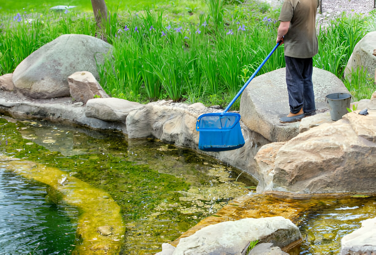 lake water treatments