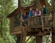 tree house