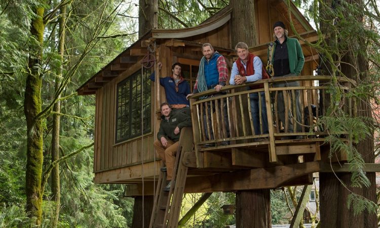 tree house